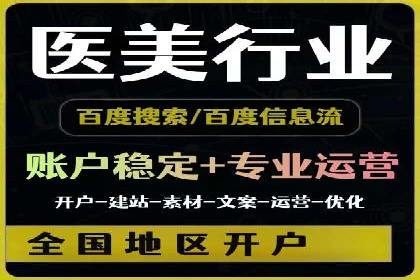SEO与SEM融合策略：成功案例解析